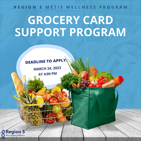 Photo of bag and cart of groceries